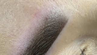 place_cover_cover_10533