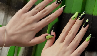 place_cover_cover_11183