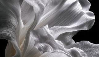 place_cover_cover_13118