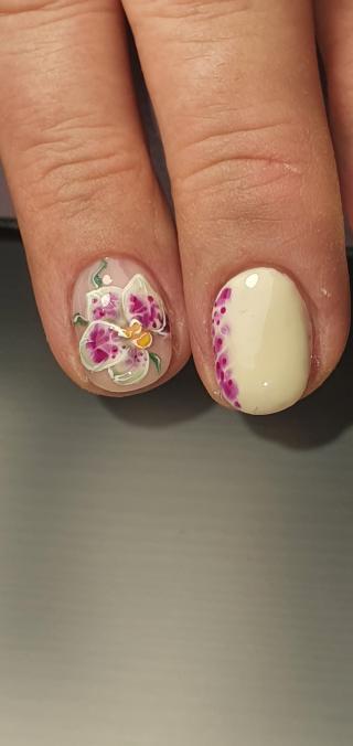 place_cover_cover_13307