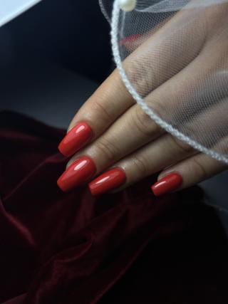 place_cover_cover_13718