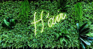 place_cover_cover_2605