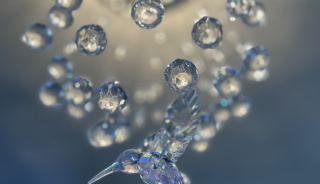 place_cover_cover_3349