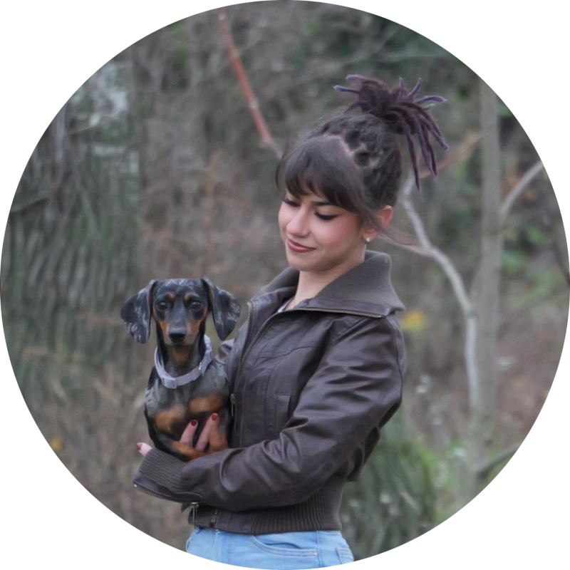 Székely Lili 06202035417