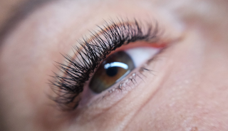 place_cover_cover_246