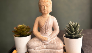 place_cover_cover_8170