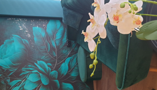 place_cover_cover_8200