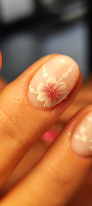 place_cover_cover_8909