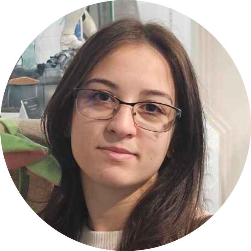 Mirage Egyéni kezelő 